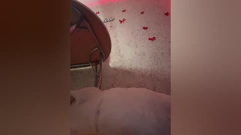 littledelora free recording from 2026-02-19 04:09:00