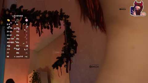 A video of a person's side profile, with a Christmas wreath hanging in the background, overlaid with a digital overlay showing \"Lowenise\" and \"Level 77.\