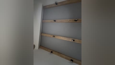 nezukoo free recording from 2026-02-17 00:21:00