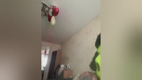 razvedos5 free recording from 2026-02-17 00:21:00