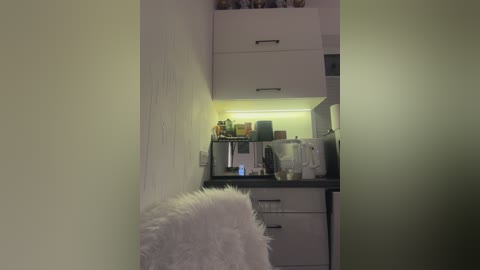 taanni free recording from 2026-02-17 00:21:00