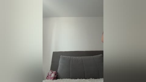 Video of a minimalist, modern bedroom with a gray upholstered bed, two pillows, and a pink and white checkered blanket. The walls are plain white, and a small section of a lamp is visible on the right.