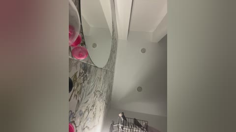 alexarays free recording from 2026-02-19 03:24:00