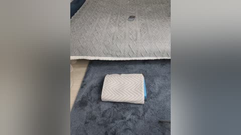 angelia22 free recording from 2026-02-19 01:07:00