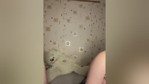 bellaandalice free recording from 2026-02-18 00:38:00