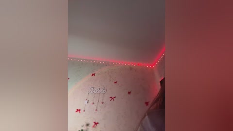 littledelora free recording from 2026-02-19 04:09:00