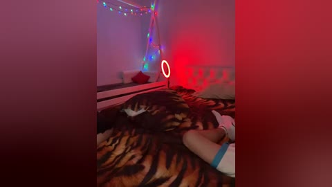 manynia666 free recording from 2026-02-23 00:25:00