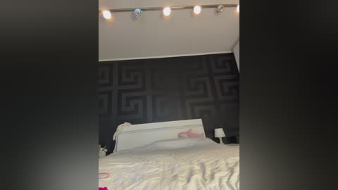 sara_ free recording from 2026-02-19 00:45:00