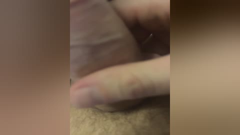 siapi free recording from 2026-02-20 01:47:00