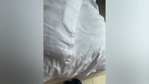 sukubb_overlord free recording from 2026-02-19 00:45:00