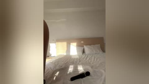 sukubb_overlord free recording from 2026-02-19 00:44:00