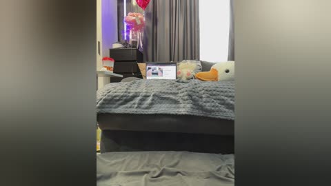 vero19nika free recording from 2026-02-19 04:09:00