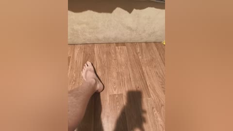 nelonia free recording from 2026-02-21 00:03:00