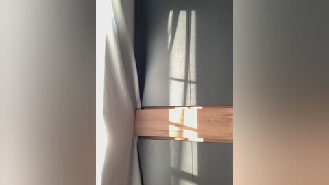 nezukoo free recording from 2026-02-20 01:47:00