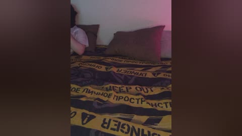 plohishi2 free recording from 2026-02-20 01:27:00