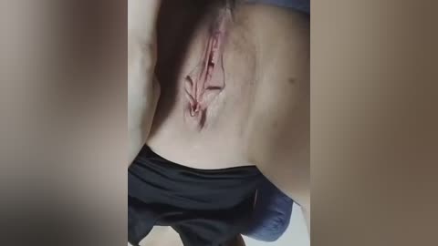 tilytily free recording from 2026-02-21 00:14:00