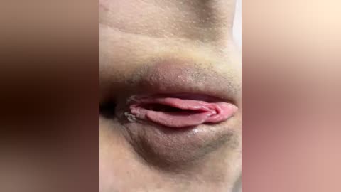 diviala free recording from 2026-02-24 00:00:00