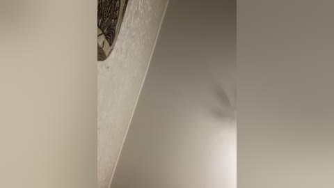 hellmor free recording from 2026-02-21 00:00:00