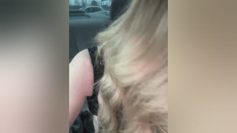 ledymiya free recording from 2026-02-21 00:39:00