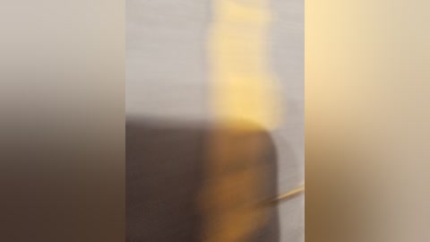 parapapa1_1 free recording from 2026-02-22 00:41:00