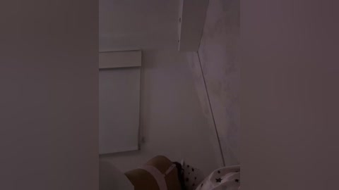 sallyeleins free recording from 2026-02-21 00:02:00