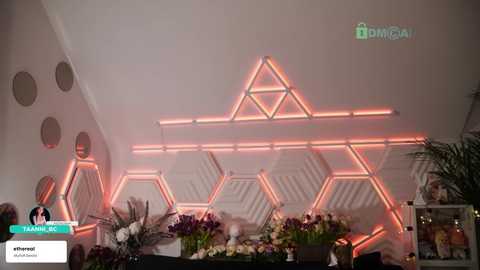 taanni free recording from 2026-02-21 00:02:00