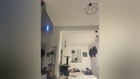 taanni free recording from 2026-02-21 00:00:00