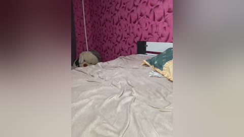 cat_meowa free recording from 2026-02-22 00:41:00