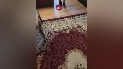 maniacdemonessa free recording from 2026-02-22 00:41:00