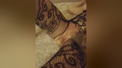 meowcandy free recording from 2026-02-22 00:41:00