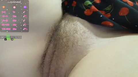 redaura free recording from 2026-02-22 00:41:00