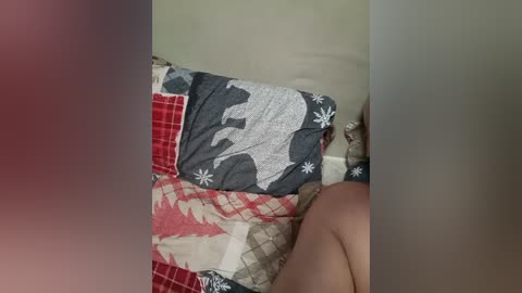 zaichullek free recording from 2026-02-24 00:00:00