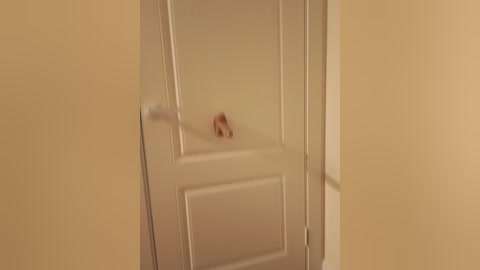 milan_031 free recording from 2026-02-23 00:25:00