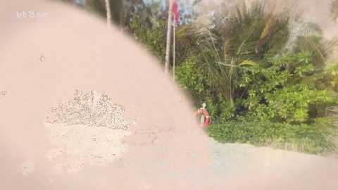 taanni free recording from 2026-02-23 00:30:00