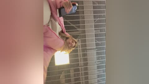 vibromashulkadashulka free recording from 2026-02-23 00:18:00