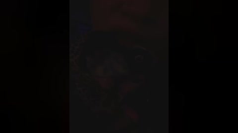 aureliyxxx free recording from 2026-02-24 00:21:00