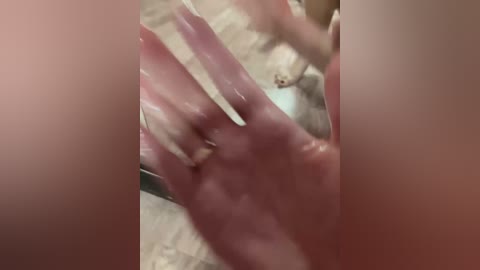 cat_meowa free recording from 2026-02-24 00:21:00