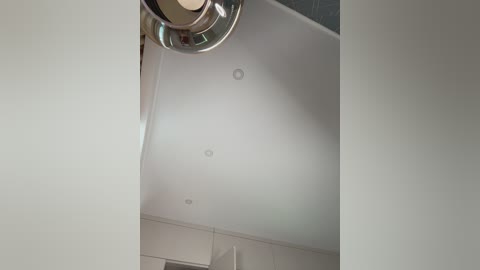 _wowfox_ free recording from 2026-02-25 00:23:00