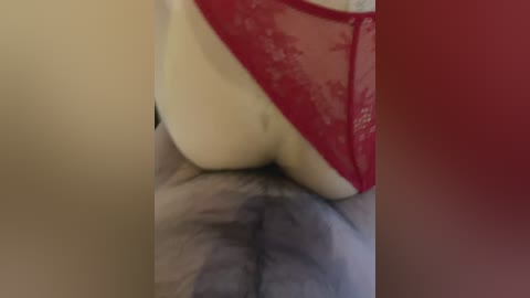 qwerty95777_1 free recording from 2026-02-25 00:23:00