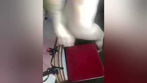 alissalexx free recording from 2026-02-26 03:44:00