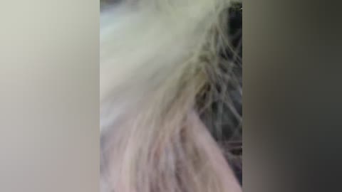 ellidi free recording from 