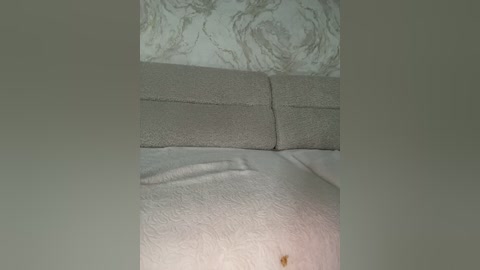 lolafox free recording from 2026-02-26 00:47:00