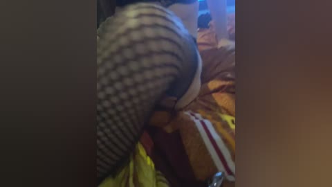 qwerty95777_1 free recording from 2026-02-26 03:44:00