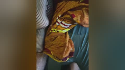 qwerty95777_1 free recording from 2026-02-26 00:06:00