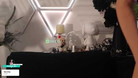 taanni free recording from 2026-02-26 00:00:00