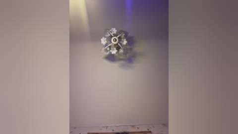 bellaandalice free recording from 2026-02-27 00:12:00