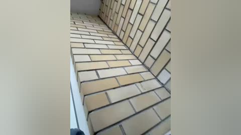 kamiandserg566 free recording from 2026-02-27 00:18:00