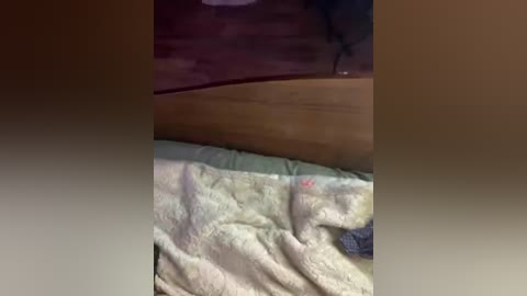 kamiandserg566 free recording from 2026-02-27 02:43:00