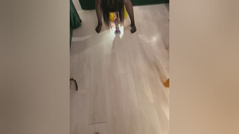 nelonia free recording from 2026-02-27 00:12:00