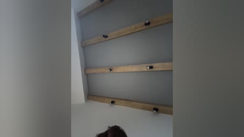 nezukoo free recording from 2026-02-27 02:43:00